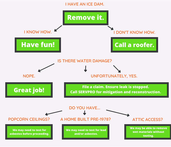 Flowchart showing what to do if you have an ice dam.